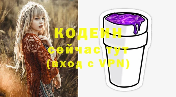 ГАЛЛЮЦИНОГЕННЫЕ ГРИБЫ Нестеровская