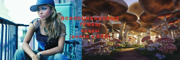 кокс Няндома